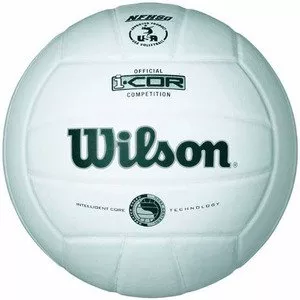 Мяч волейбольный Wilson I-COR Competition WTH7710XWHI  фото