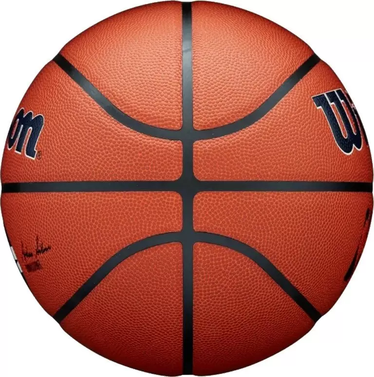 Баскетбольный мяч Wilson NBA Los Angeles Clippers WZ4029313XB7 (7 размер) фото