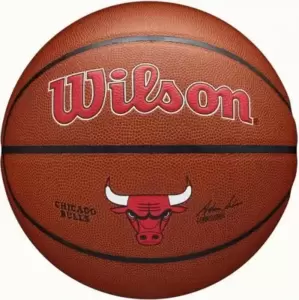 Wilson NBA Team Alliance Bskt Chi Bulls WZ4029305XB7 (7 размер)