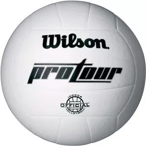 Мяч волейбольный Wilson Pro Tour Indoor WTH3900X фото