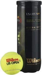 Мячи для большого тенниса Wilson US Open T1062 фото