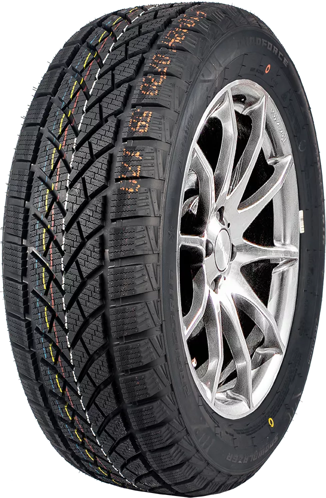 Windforce Snowblazer 205/55R16 91H