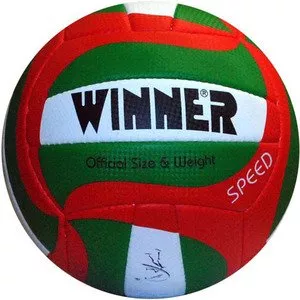 Мяч волейбольный Winner Speed фото