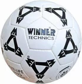 Мяч Winner Technics фото