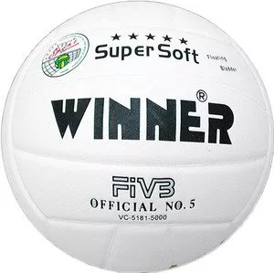 Мяч волейбольный Winner VC-5 White фото