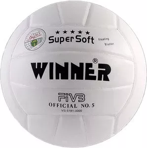 Мяч волейбольный Winner VS-5 White фото