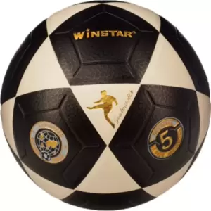 Футбольный мяч Winstar WN11001 (5 размер) фото