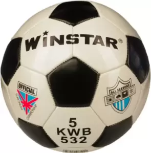 Winstar WN11009 (5 размер)