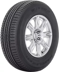 Летняя шина Winrun Maxclaw H/T2 225/65R17 102T фото