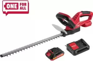 Кусторез Wortex DB 5218 ALL1 XLT Set 1334652 (с 1-им АКБ) фото