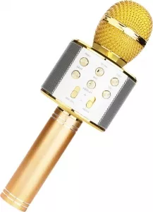 Bluetooth-микрофон Wster WS-858 (золотистый) фото