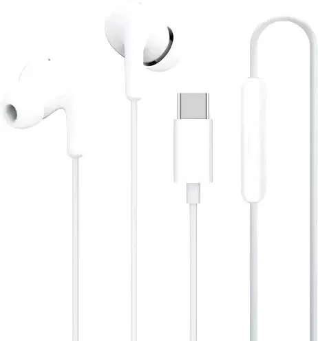 Xiaomi Type-C Earphones M2413E1 (белый, международная версия)