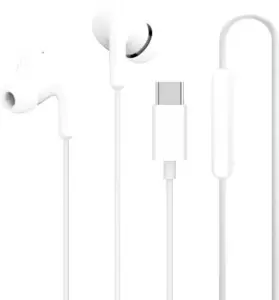 Наушники Xiaomi Type-C Earphones M2413E1 (белый, международная версия) фото