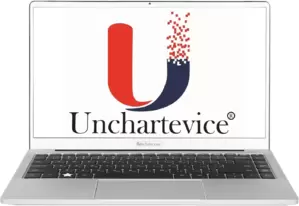 Ноутбук Unchartevice 6640MA фото