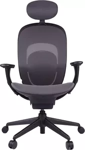 Кресло YMI Yuemi Ergonomic Chair Black  фото