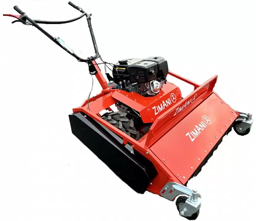 ZimAni LM 100