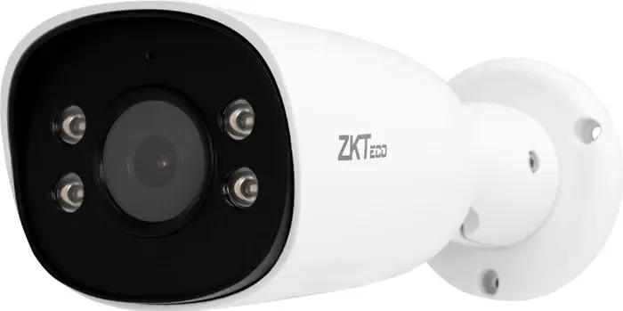 ZKTeco BS-855P11T-S7-C-MI