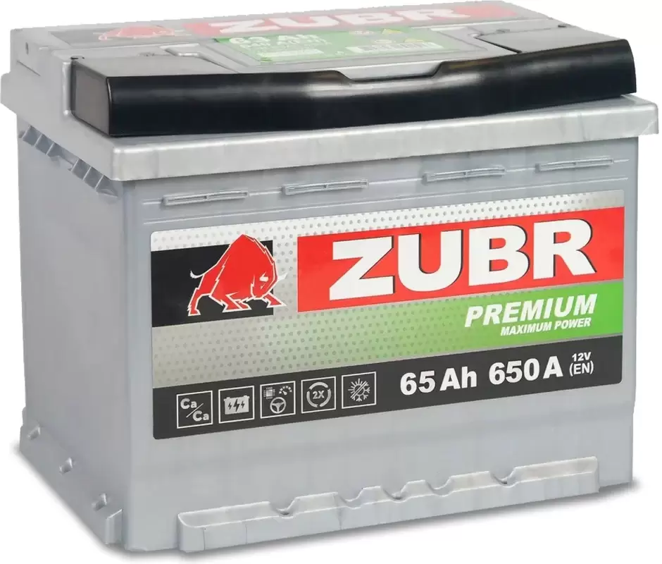 Зубр Premium L+ (65Ah)