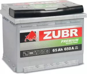 Зубр Premium R+ (65Ah)
