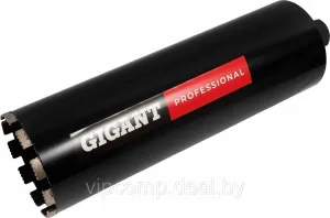 Коронка Gigant Алмазное GDSD-132450 фото