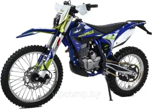 Мотоцикл Moto Apollo M3 300 4V (синий) фото