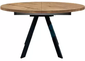 Стол обеденный DikLine RD120 Black фото