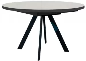 Стол обеденный DikLine RD120 Black фото