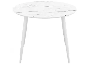 Стол обеденный DikLine SFR100 White фото