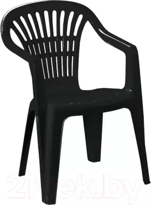 Стул пластиковый GreenDeco Scilla / SCI180AN фото