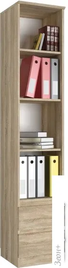 Книжный шкаф Евва Турин ТР-4T2S-01/S (дуб сонома) фото