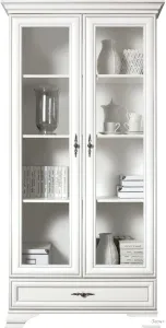 Шкаф-витрина BRW Kentaki S320-REG2W1S (белый) фото