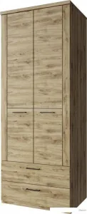 Шкаф распашной Anrex Doorset 2DG2S (дуб наварра) фото