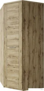 Шкаф распашной Anrex Doorset угловой 1DG (дуб наварра) фото