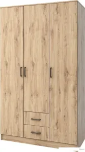 Шкаф распашной Mio Tesoro Хюгге 3D2S (дуб наварра) фото