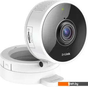 Сетевая IP камера D-Link DCS-8100LH/A1A фото