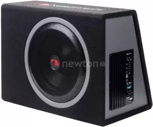 Корпусной активный сабвуфер Nakamichi NBX305A фото