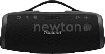 Беспроводная колонка Tronsmart Mirtune S100 черный фото