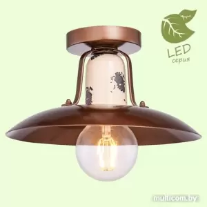 Припотолочная люстра Lussole LOFT GRLSP-8161 фото
