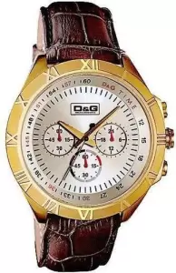 Наручные часы Dolce&Gabbana DW0433 фото