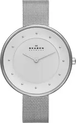 Наручные часы Skagen SKW2140 фото