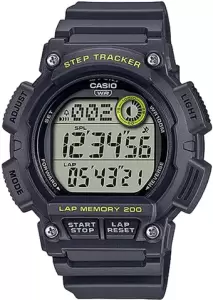 Наручные часы Casio WS-2100H-8A фото