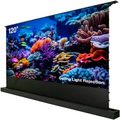 Проекционный экран CACTUS CS-PSFRCLR-263X148 фото