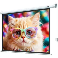 Проекционный экран Lumien Eco Control 157x227 LEC-100119 фото
