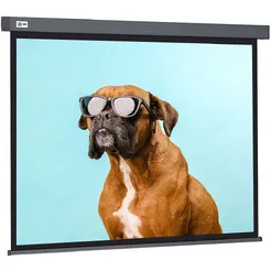 Проекционный экран CACTUS Wallscreen 149x265 CS-PSW-149X265-SG фото