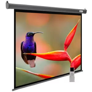 Проекционный экран CACTUS SIlverMotoExpert 138x220 CS-PSSME-220X138-DG фото
