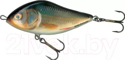 Воблер Salmo Slider F SD10F-RR / SD-100-FL-RER фото