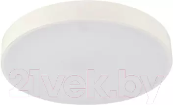 Потолочный светильник Mirastyle SL-41048/400-60W WT фото