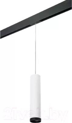 Трековый светильник Lightstar Rullo PRORP4963437 фото
