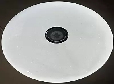 Потолочный светильник Aitin-Pro R04 2х45Вт D500 фото