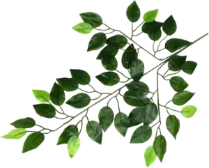 Искусственная ветка ForGarden Фикус BN11126 фото